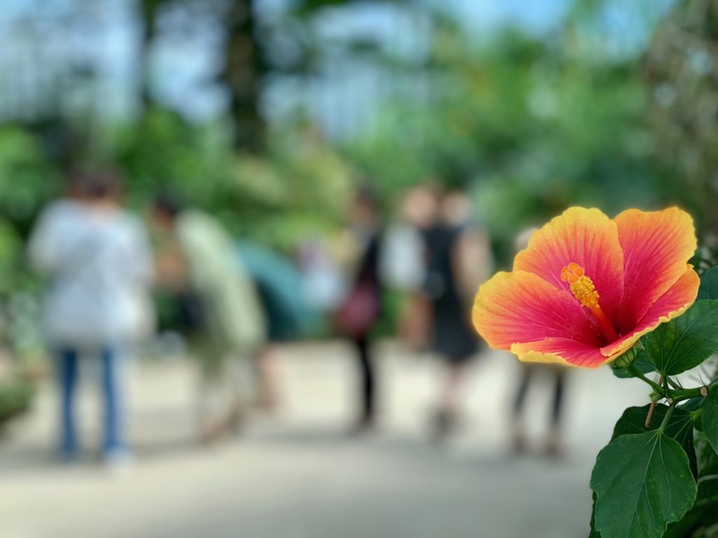 Yu Yuan Garden - Blume